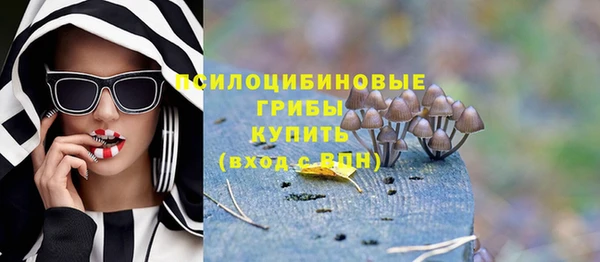 2c-b Верхнеуральск