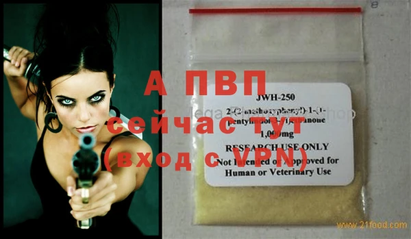 СК Верея