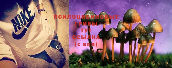 2c-b Верхнеуральск