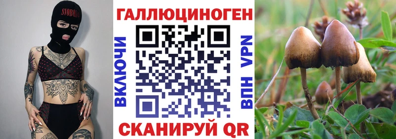 Псилоцибиновые грибы ЛСД Удомля