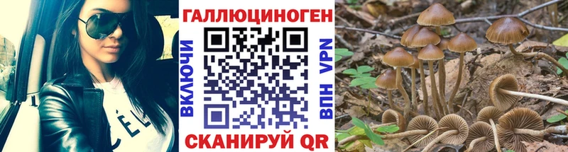 Галлюциногенные грибы GOLDEN TEACHER  Купить  Удомля 